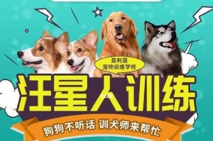 训犬科目大揭秘（探索训犬的核心技术与方法，助您成为顶级犬主）