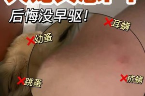 宠物狗狗的驱虫时机与方法（了解宠物狗狗驱虫的最佳时机和正确方法）