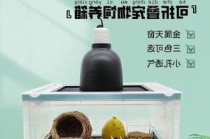 养仓鼠必备的物品和如何选择仓鼠笼（了解仓鼠的必需品，为它们提供舒适的居住环境）