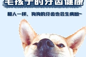 狗不会得蛀牙的原因（探索狗牙齿的独特特性及保持口腔健康的方法）