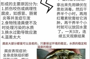 乌龟为什么蜕皮？（探究乌龟蜕皮的原因及其重要性）