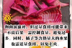 狗喜欢吃的肉有哪些？（了解狗狗喜欢的肉食，让它们健康成长）