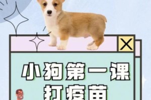 母狗生产后打针的时间及注意事项（宠物养护中的关键步骤，让母狗和幼犬健康成长）