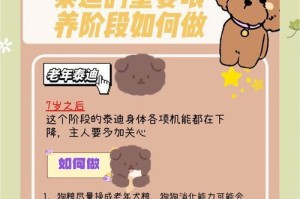 泰迪腹泻应对策略大揭秘！（探究泰迪腹泻的治疗方法和护理技巧）