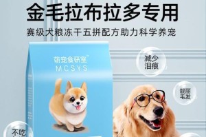《40天见证拉布拉多的成长之旅》（从可爱幼犬到机智聪明的伙伴，这是一段难忘的陪伴经历）