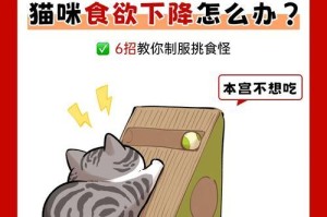 猫咪挑食的原因及解决方法（了解猫咪挑食行为的常见原因，帮助你解决猫咪挑食问题）