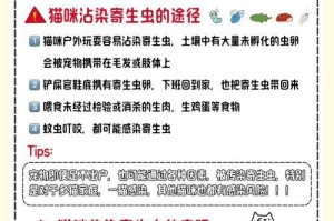 打虫药吃完后多久能见效？（了解打虫药的作用和使用建议，掌握合理用药时间。）