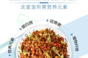 如何合理控制半岁泰迪的狗粮食量（不同年龄段的泰迪狗粮食量调整及注意事项）