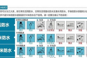 如何饲养阿根廷象龟？（了解阿根廷象龟的饲养方法）