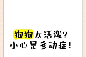 治疗狗狗多动症的有效方法（帮助狗狗冷静下来，享受宁静时刻）