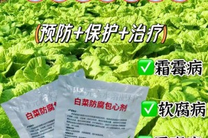 速生蔬菜的种类和特点（探索速生蔬菜的奥秘，助你打造快乐菜园）