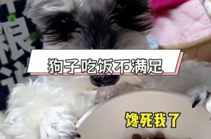 雪纳瑞的挑食习性（解析雪纳瑞对食物的偏好及如何改善其饮食习惯）