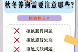 如何判断狗狗是否发烧？一探狗狗健康的秘密（养狗人士必看，了解如何正确判断狗狗是否发烧）