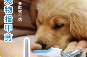 如何给泰迪犬剪趾甲（掌握正确技巧，让泰迪犬趾甲修剪变得简单易行）