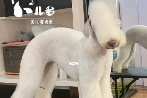 贝灵顿犬标准身高体重解析（探究贝灵顿犬的理想体型和健康管理）