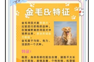 幼犬换胎毛的时间需求（幼犬换毛周期及影响因素解析）