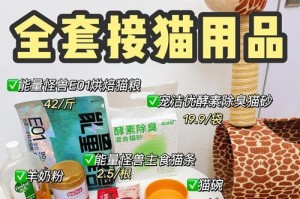 初学者的幼猫饲养指南（了解幼猫的需要，做一个合格的铲屎官）