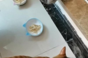 猫为什么吃鸡肉时会哭泣（揭开猫咪吃鸡肉后流泪的真相，）