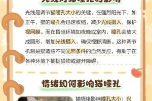小猫眼睛变色的时机与原因（揭秘小猫眼睛变色的奥秘，你知道吗？）
