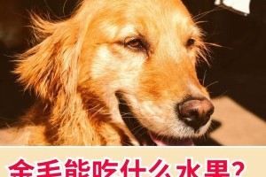 5月大狗狗的水果饮食指南（为您的宠物提供健康美味的水果零食）
