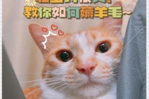 宠物猫咪的驱虫防范指南（如何让猫咪远离寄生虫）