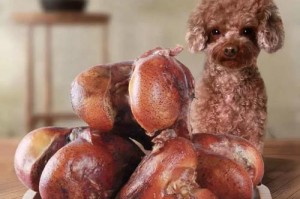 大型犬骨骼的健康饮食（科学饮食保障大型犬骨骼强健）