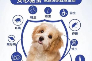 小狗服用驱虫药多久有反应？（了解小狗服用驱虫药后的反应时间）