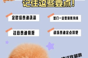 养小泰迪的注意事项（如何正确养护小泰迪，打造幸福的宠物生活）
