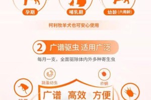 比熊滴剂的使用频率及注意事项（探讨比熊滴剂的使用频率，为您的爱犬健康保驾护航）