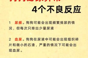 狗狗尿频尿血尿不尽？关注可能的膀胱结石问题！（多喝水对狗狗健康至关重要）