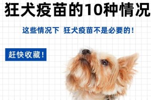 以打了狗的疫苗能吃什么？（科学饮食指南，保护您的健康）