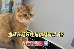 猫的饮食习惯（猫咪的饮食需求与适宜喂食频率）