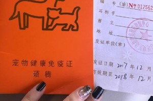 猫咪乘坐飞机的注意事项（关于猫咪乘坐飞机，你需要了解的重要事项）