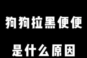 大便中出现黑色条是什么原因？（了解黑色条的成因及健康建议）
