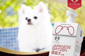 银狐犬幼犬喂养全攻略（宠物银狐犬幼犬健康成长的秘诀）