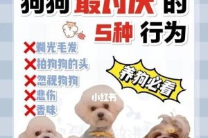送狗狗需要注意的事项（关心宠物的情绪与健康）
