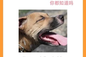 狗为什么呼吸急促？（探究狗呼吸急促的原因及解决方法）