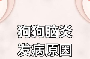 小狗脑炎的症状及治疗方法（探究小狗脑炎的常见症状和有效治疗方案）