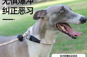 为什么以狗为主题使用P链？（探索狗与P链之间的奇妙关系）