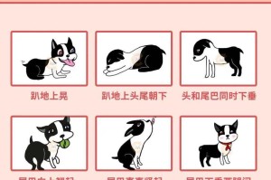 狗狗为什么喜欢咬自己尾巴？（探索狗狗喜欢咬尾巴背后的原因与解决方法）