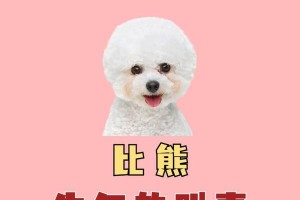 如何训练狗狗不乱叫（6个简单方法帮助狗狗戒掉嚎叫习惯）