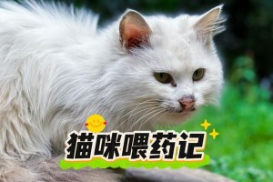 小猫拉肚子的原因及治疗方法