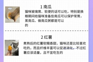 猫咪的日常饮食要点（满足你家猫咪的味蕾，打造健康饮食习惯）
