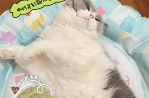 宠物猫为什么喜欢舔毛？（探究猫咪舔毛的原因和好处）