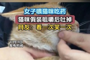 轻松喂药（学会这些技巧，让给猫咪喂药变得简单轻松）