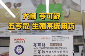 金毛趾间炎的治疗方法（选择合适的药物是关键）