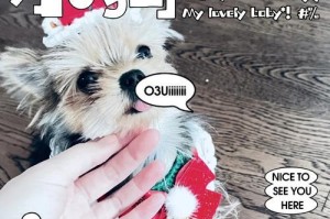 狗狗妊娠反应持续多久（探究狗狗妊娠期间的常见反应及其持续时间）