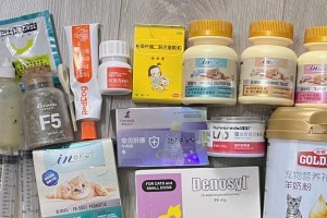猫咪肝病后的饮食调理（如何选择适合猫咪肝病康复的食物）