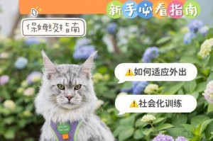 以猫咪训练方式，让宠物更听话（15个实用训练技巧，让你和爱宠更和谐）