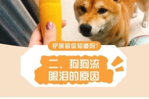 狗狗流眼泪的原因及处理方法（探究狗狗流眼泪的主要原因及提供有效的处理方法）